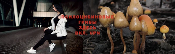 скорость Коряжма