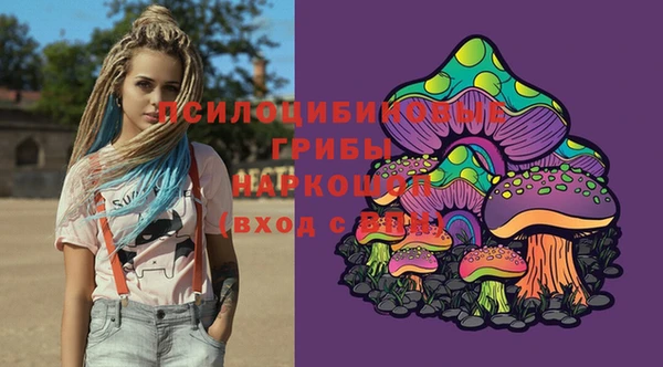 стаф Россошь