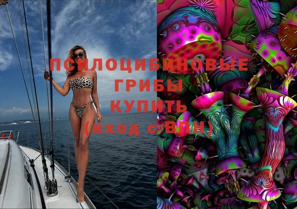 прущий лед Корсаков