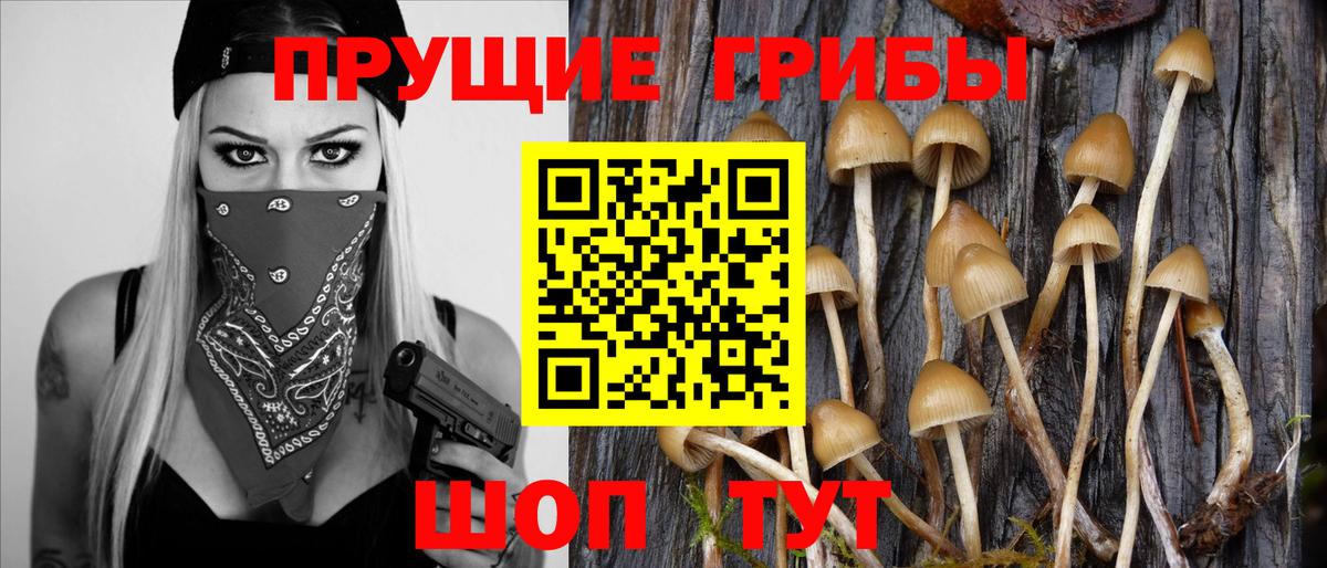 Псилоцибиновые грибы мицелий  Вход с VPN  Мелеуз 