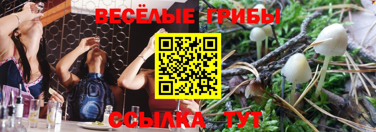 Галлюциногенные грибы MAGIC MUSHROOMS Мелеуз